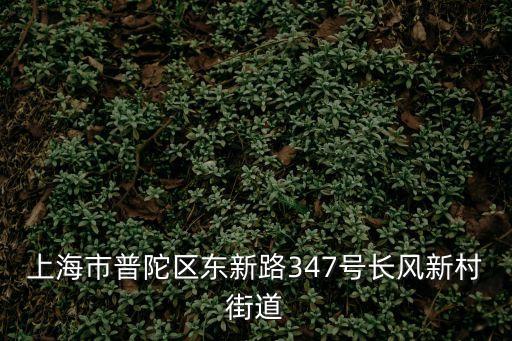 上海市普陀區(qū)東新路347號(hào)長(zhǎng)風(fēng)新村街道