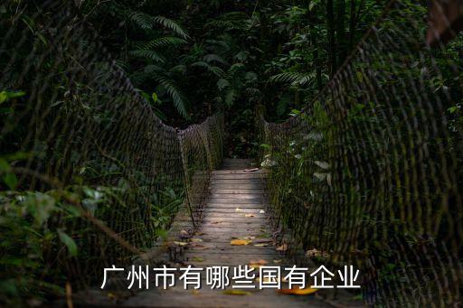 廣州哪些國(guó)企，廣州有哪些大型國(guó)企