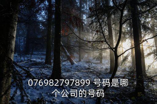 076982797899 號(hào)碼是哪個(gè)公司的號(hào)碼