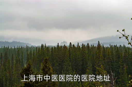 上海市中醫(yī)醫(yī)院的醫(yī)院地址