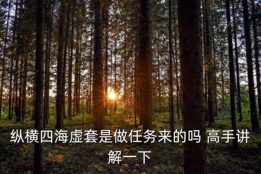 縱橫四海虛套是做任務(wù)來的嗎 高手講解一下