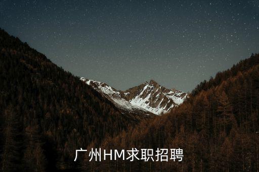 廣州2017專場招聘，廣州HM求職招聘