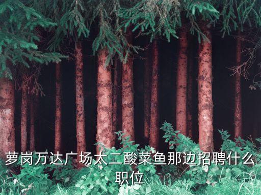 蘿崗萬(wàn)達(dá)廣場(chǎng)太二酸菜魚(yú)那邊招聘什么職位