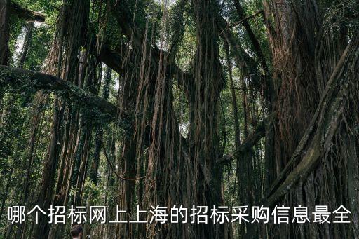 哪個招標網(wǎng)上上海的招標采購信息最全