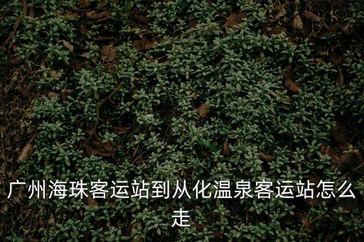廣州海珠客運(yùn)站到從化溫泉客運(yùn)站怎么走