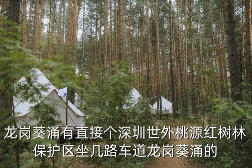 深圳大沙河的春天，龍崗葵涌有直接個深圳世外桃源紅樹林保護區(qū)坐幾路車道龍崗葵涌的