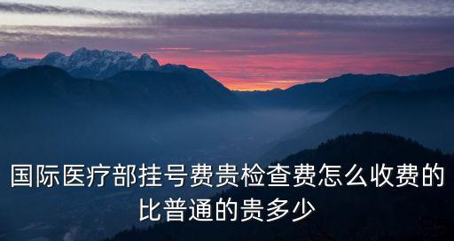 國際醫(yī)療部掛號(hào)費(fèi)貴檢查費(fèi)怎么收費(fèi)的比普通的貴多少