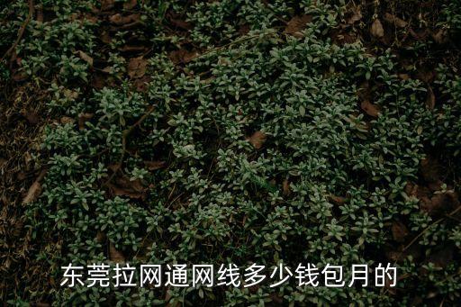 東莞拉網(wǎng)通網(wǎng)線多少錢包月的