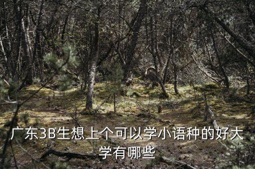 廣州小語種大學排名，廣東3B生想上個可以學小語種的好大學有哪些
