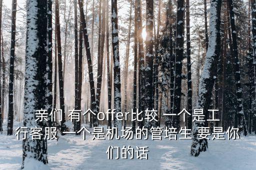 親們 有個(gè)offer比較 一個(gè)是工行客服 一個(gè)是機(jī)場(chǎng)的管培生 要是你們的話