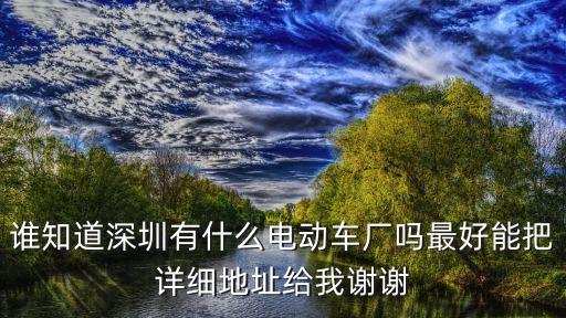 深圳市其它區雷銘電動貨車，請問深圳哪里有電動獨輪車賣