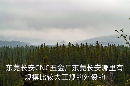東莞長安CNC五金廠東莞長安哪里有規模比較大正規的外資的