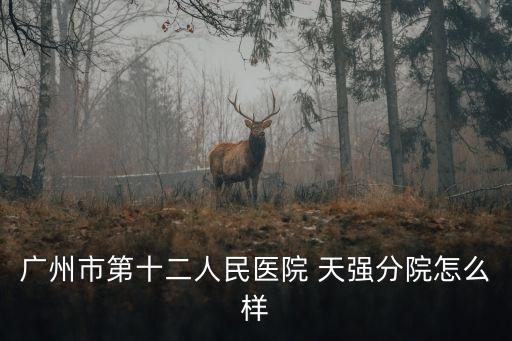 廣州市第十二人民醫(yī)院 天強分院怎么樣