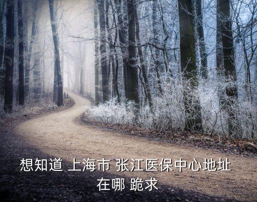 想知道 上海市 張江醫保中心地址 在哪 跪求