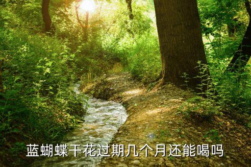 藍蝴蝶干花過期幾個月還能喝嗎
