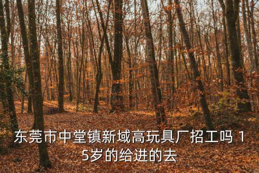 東莞市中堂鎮新域高玩具廠招工嗎 15歲的給進的去