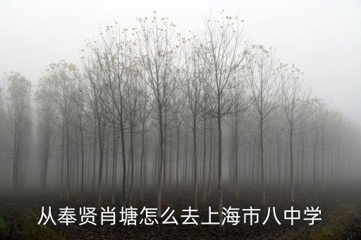 上海市第八中學南大樓，從奉賢肖塘怎么去上海市八中學