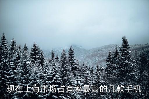 上海市場占有率，現在上海市場占有率最高的幾款手機