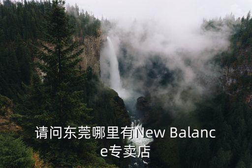 請問東莞哪里有New Balance專賣店