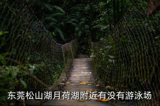 東莞月荷湖全景圖，廣東東莞市一地方