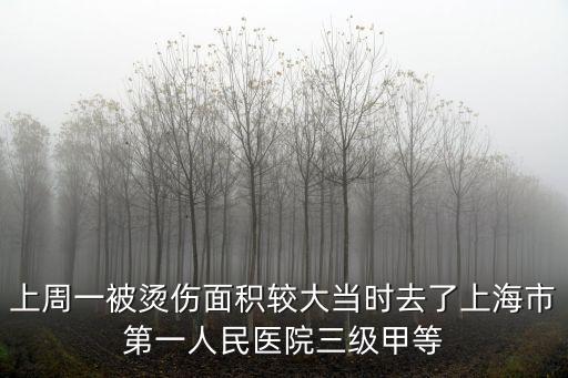 上周一被燙傷面積較大當時去了上海市第一人民醫院三級甲等
