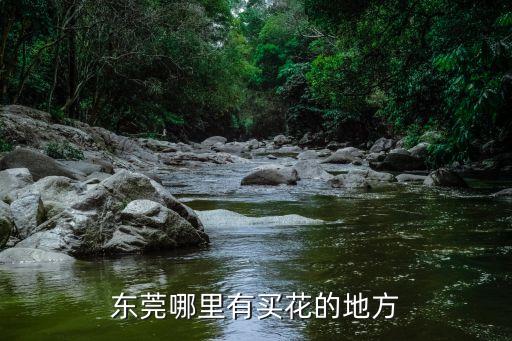 東莞哪里有買花的地方