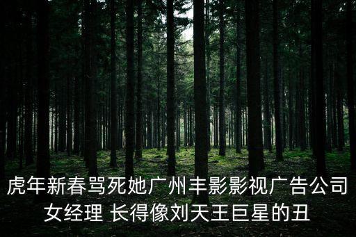 廣州劉欣儀劉氏集團，廣州市金罡貿易有限公司老總是誰