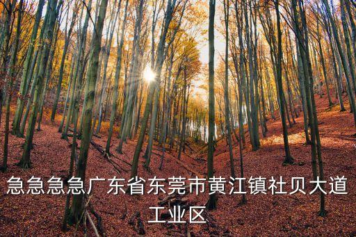 東莞市黃江鎮(zhèn)拆除違建，急急急急廣東省東莞市黃江鎮(zhèn)社貝大道工業(yè)區(qū)