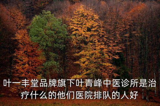葉一V 上海市中醫醫院，葉一豐堂品牌旗下葉青峰中醫診所是治療什么的他們醫院排隊的人好