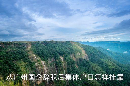 從廣州國(guó)企辭職后集體戶口怎樣掛靠