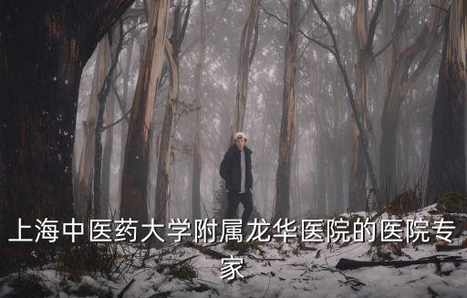 上海中醫(yī)藥大學(xué)附屬龍華醫(yī)院的醫(yī)院專家