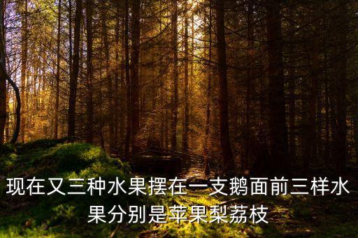 現在又三種水果擺在一支鵝面前三樣水果分別是蘋果梨荔枝