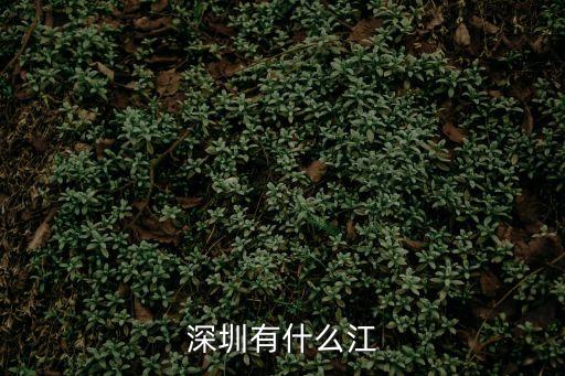 深圳有什么江