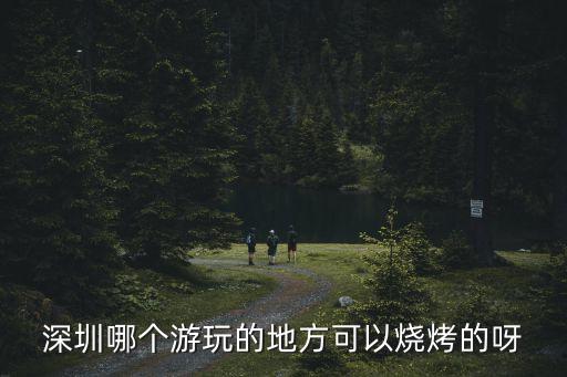 深圳哪個游玩的地方可以燒烤的呀