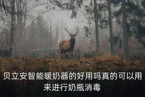 貝立安 深圳，貝立安智能暖奶器的好用嗎真的可以用來進行奶瓶消毒