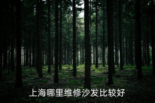 上海市有修沙發的嗎，上海網吧沙發維修