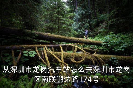 深圳小學連撞4人，今年深圳小學生有沒有發生車禍