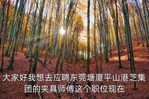 大家好我想去應聘東莞塘廈平山港芝集團的夾具師傅這個職位現在