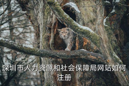 深圳社會保險(xiǎn)和人力資源網(wǎng)，深圳市社保網(wǎng)