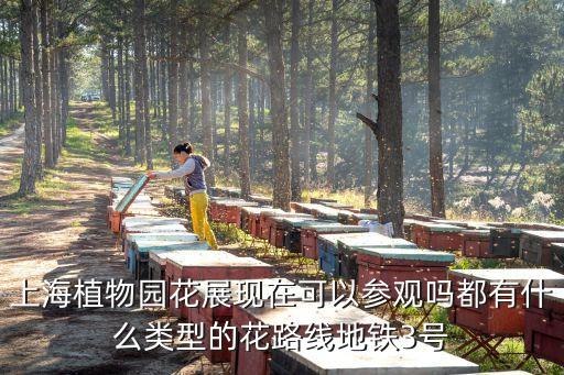 2020上海市青浦春季花展，上海植物園花展現(xiàn)在可以參觀嗎都有什么類型的花路線地鐵3號(hào)