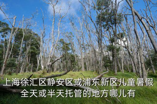 上海徐匯區(qū)靜安區(qū)或浦東新區(qū)兒童暑假全天或半天托管的地方哪兒有