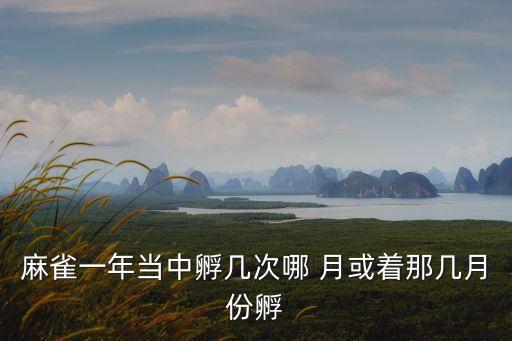 廣州海高建材有限公司，水杉樹的外型特征和作用