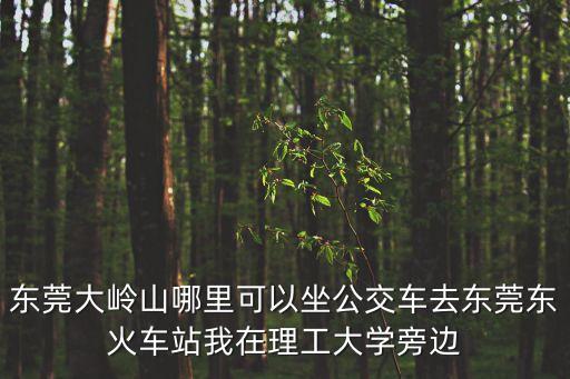 東莞大嶺山哪里可以坐公交車去東莞東火車站我在理工大學(xué)旁邊