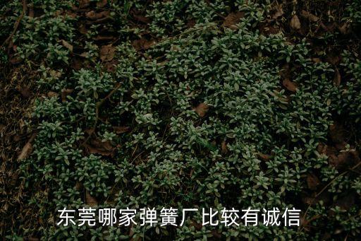 東莞電子電池彈簧生產(chǎn)廠家，東莞哪家彈簧廠比較有誠信