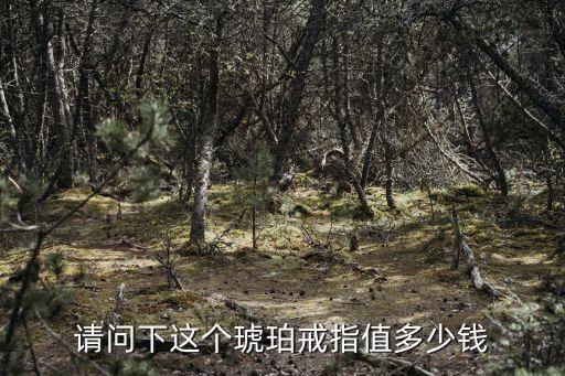 廣州蜘蛛琥珀戒指，請(qǐng)問下這個(gè)琥珀戒指值多少錢