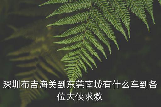 深圳布吉海關(guān)到東莞南城有什么車到各位大俠求救