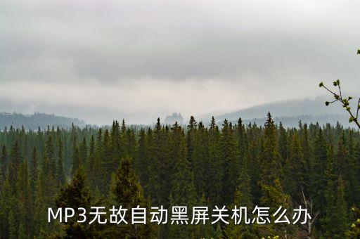 MP3無故自動黑屏關機怎么辦