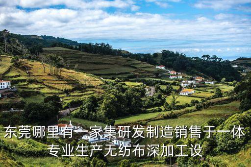 東莞哪里有一家集研發制造銷售于一體專業生產無紡布深加工設