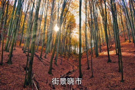 街景曉市