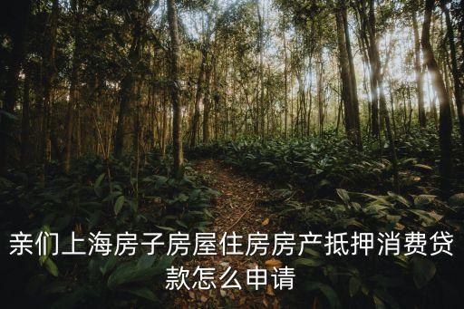 楊霞 上海市房科院，上海房屋銀行抵押貸款流程是